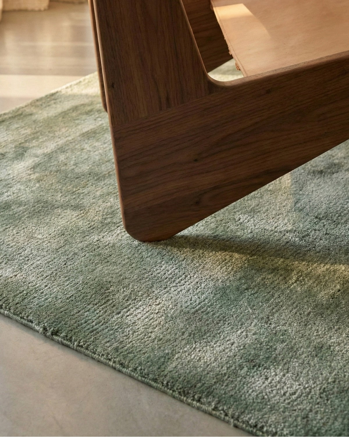 Tencel Rugs